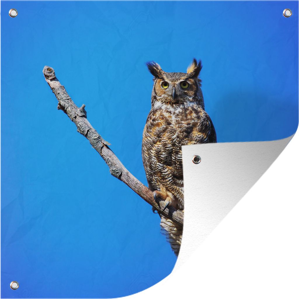 MuchoWow 100x100 cm Outdoor-Poster Gartendeko Sichtschutz Garten Poster für den Garten Eine Waldohreule sitzt auf einem Ast in einem blauen Himmel