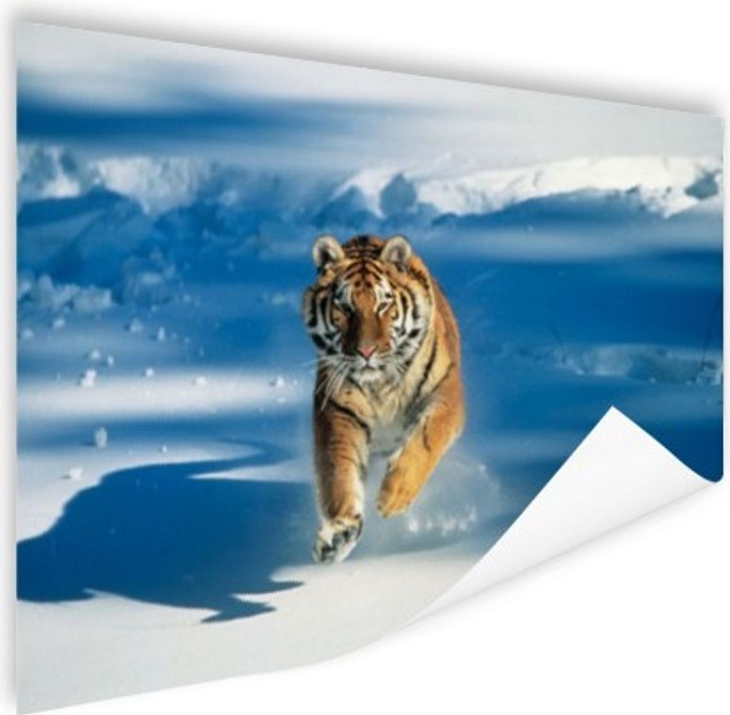 MuchoWow Poster Tiger - Schnee - Lauf 120x80 cm - Bilder