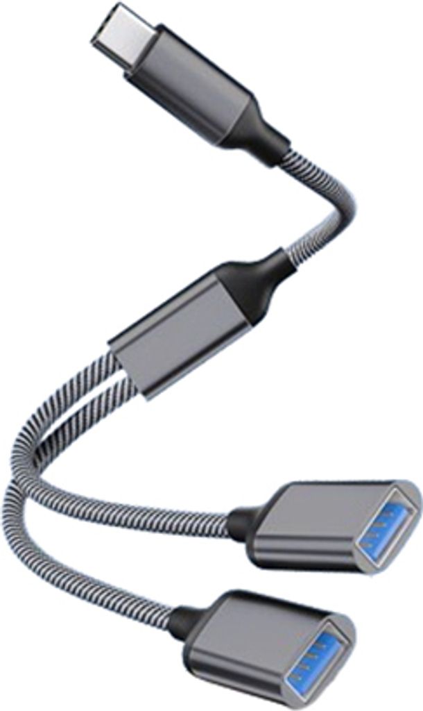 INF Adattatore da tipo C a doppio USB 2.0 Grigio Immagine del prodotto 