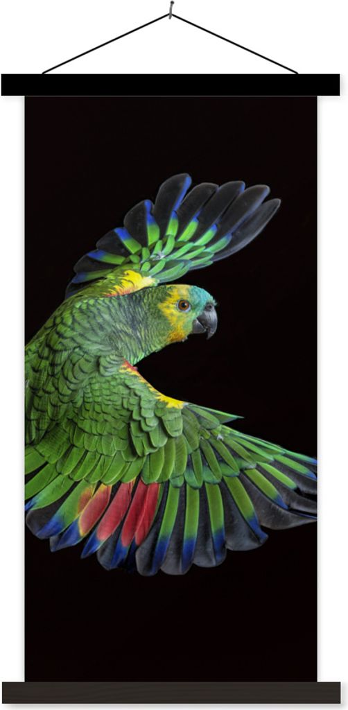 MuchoWow Textilposter Nahaufnahme bunter Papagei 40x80 cm mit schwarzem Rahmen - Wandemalerei