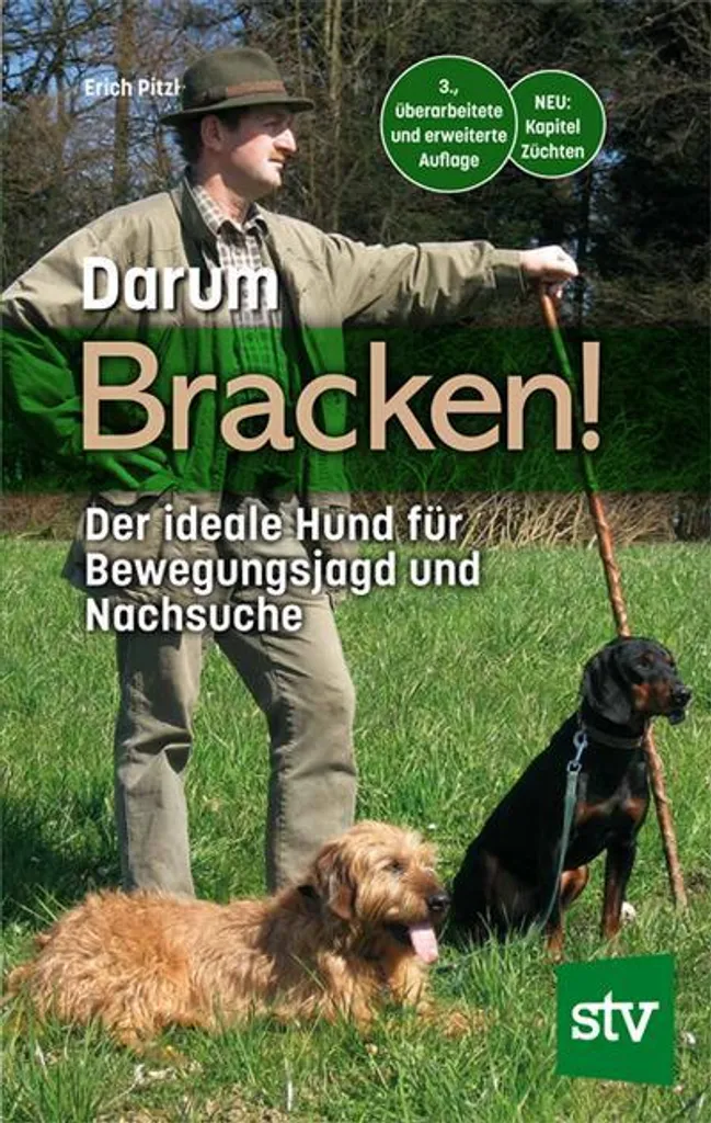 Revêtement Mural en Écorce de Chêne Darum Bracken - Pack de 10 Pièces