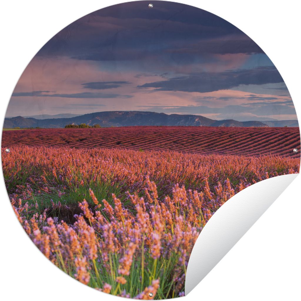 MuchoWow Gartenposter Outdoor-Poster Rund Lavendelfeld bei einem ruhigen Sonnenuntergang Ø 60 cm Gartendeko Rundes Poster draußen