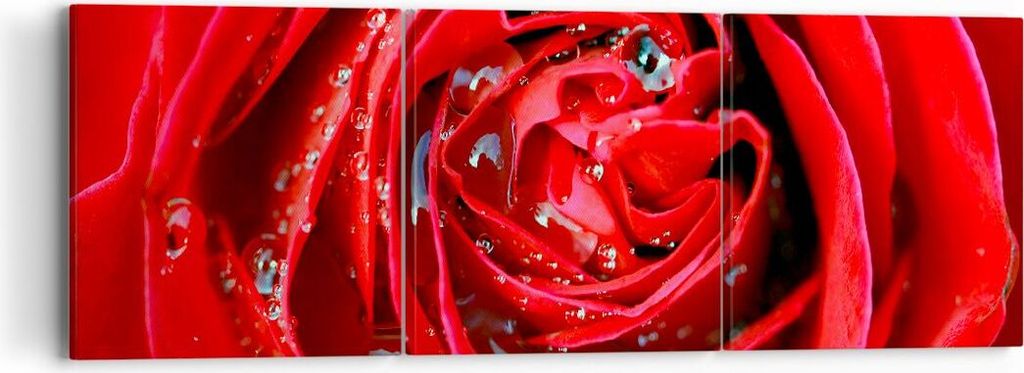 Bild auf Leinwand - Leinwandbild - Rose Blume Blütenblätter Tau - 90x30cm - Wand Bild - Wanddeko - Leinwanddruck - Bilder - Kunstdruck - Wanddeko...