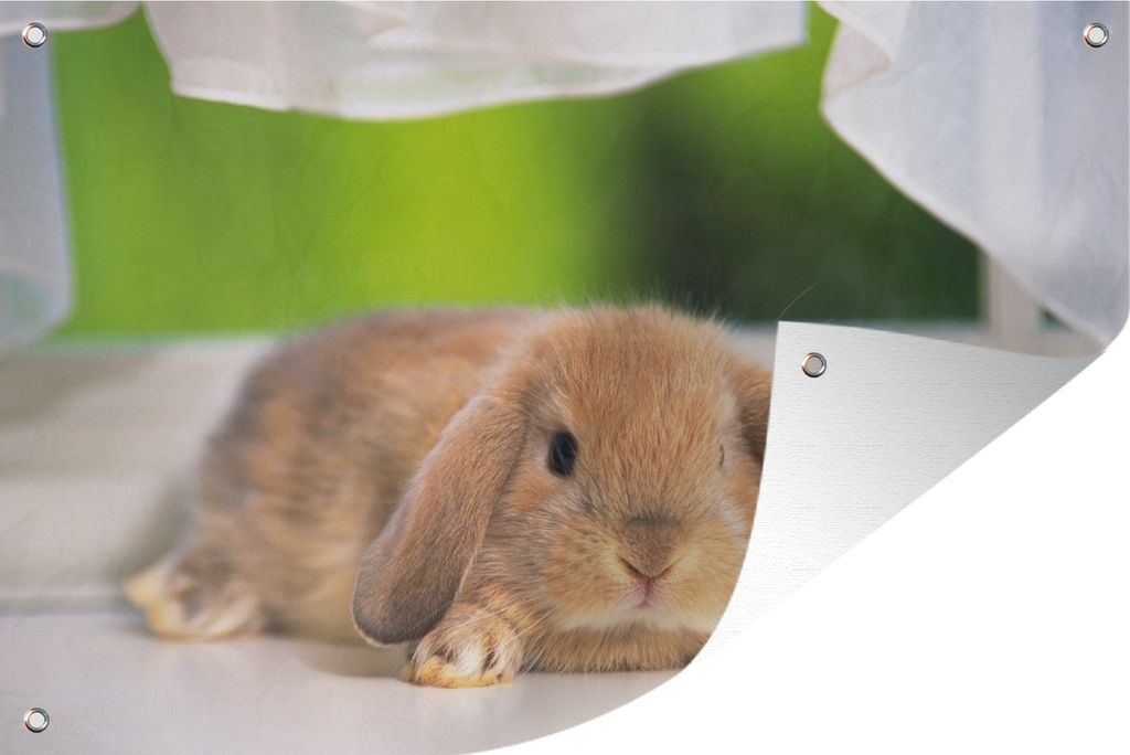MuchoWow 60x40 cm Outdoor-Poster Gartendeko Sichtschutz Garten Poster für den Garten Liegender Zwerg