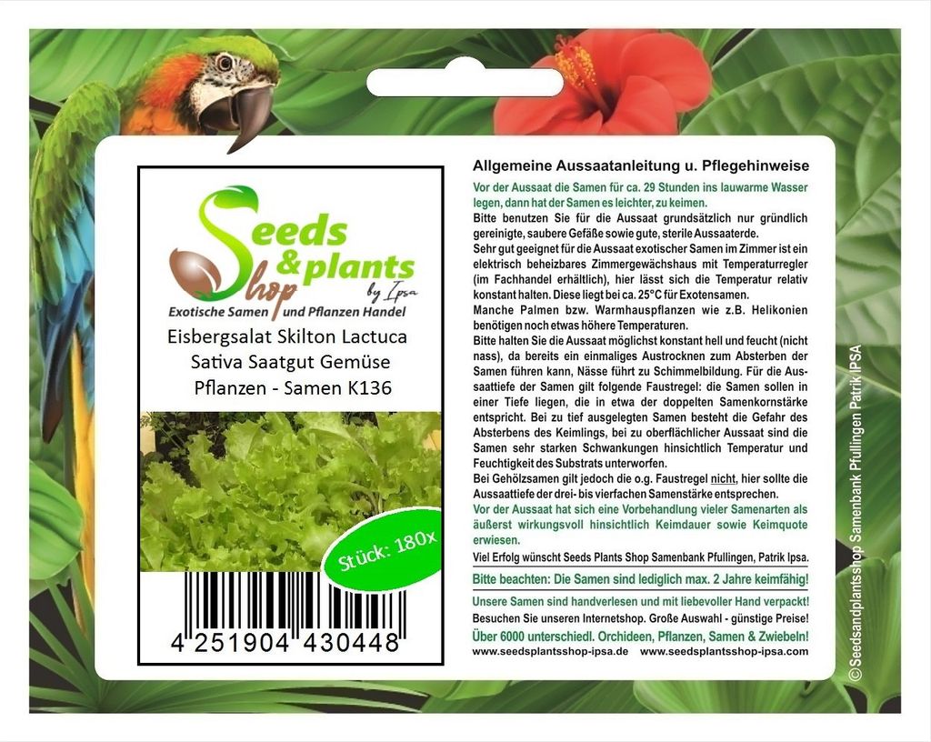180x Eisbergsalat Skilton Lactuca Sativa Saatgut Gemüse Pflanzen - Samen K136