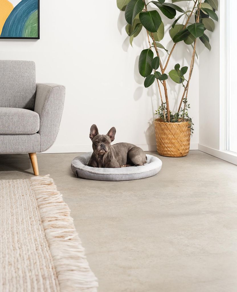 sugar dog hundemantel 2 in 1 Hundeweste und Geschirr – truelovefordogs.de main image 0