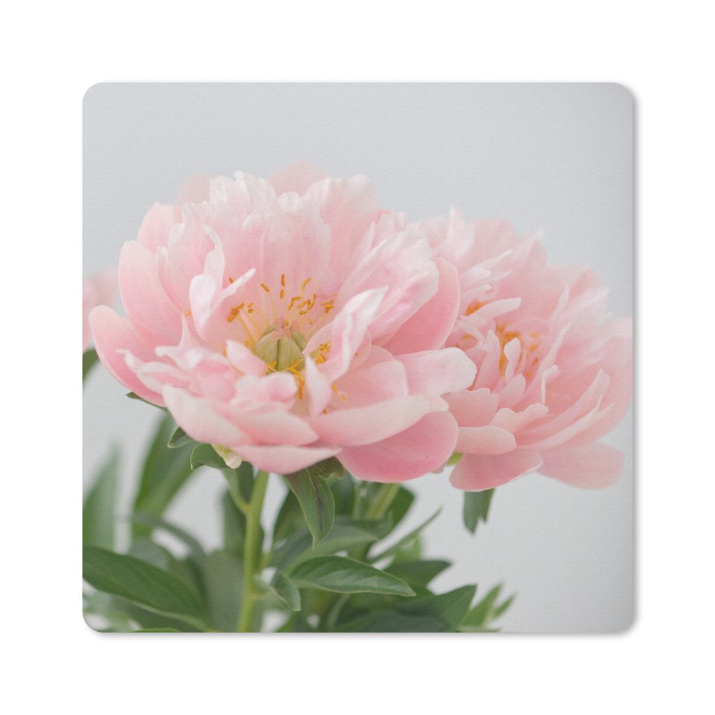 MuchoWow Mauspad Mousepad Blumenstrauß aus rosa Pfingstrosen 20x20 cm - Mousepads - Maus Mat - Pad - Mausunterlage - Desk Mat - Bureauartikeln