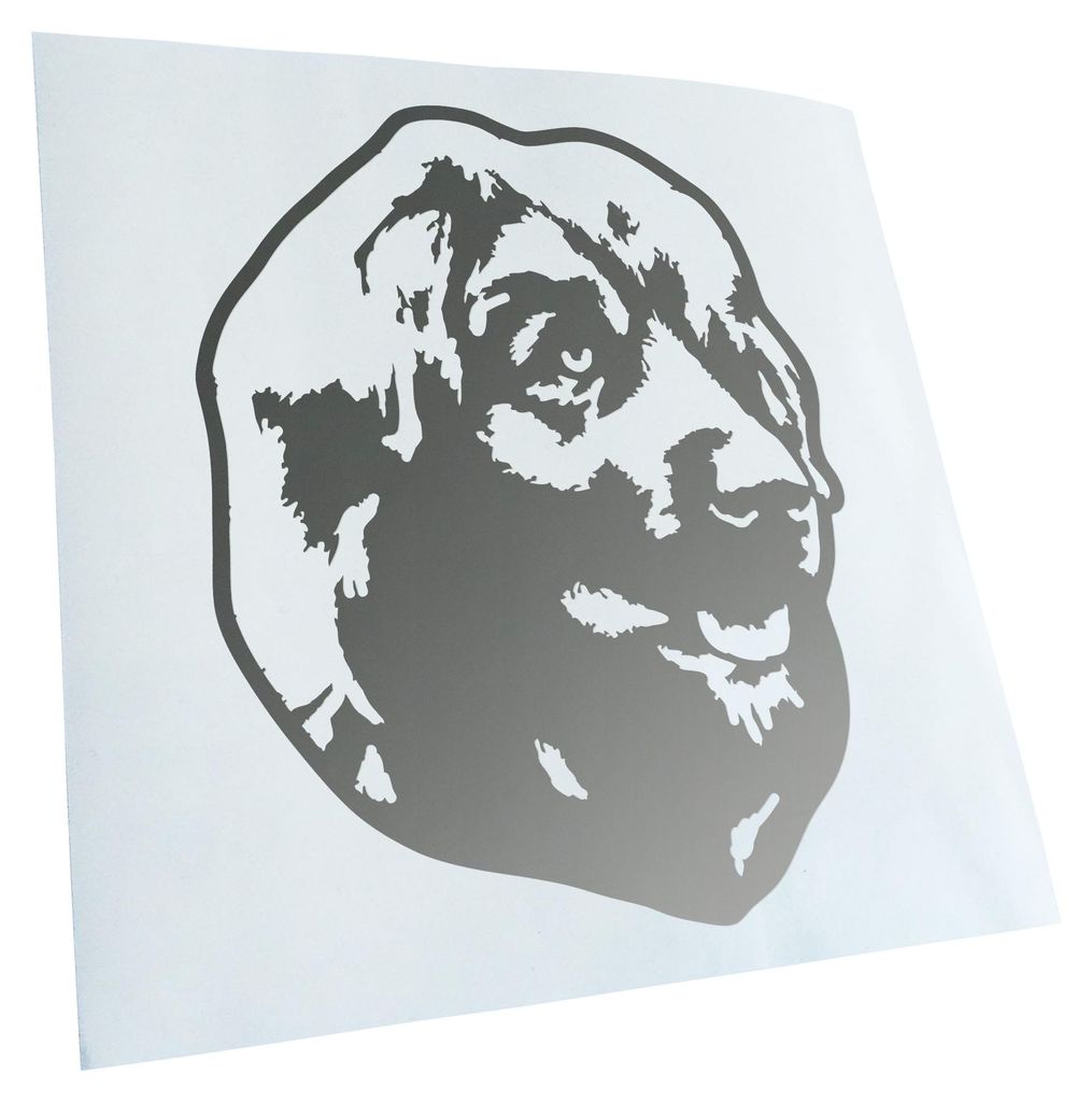 Kiwistar - Autoaufkleber - leonberger Hund - Goldchrom - 13x10cm - Aufkleber für Auto, Laptop, Fahrrad, LKW, Motorrad mehrfarbig JDM Decal Racing