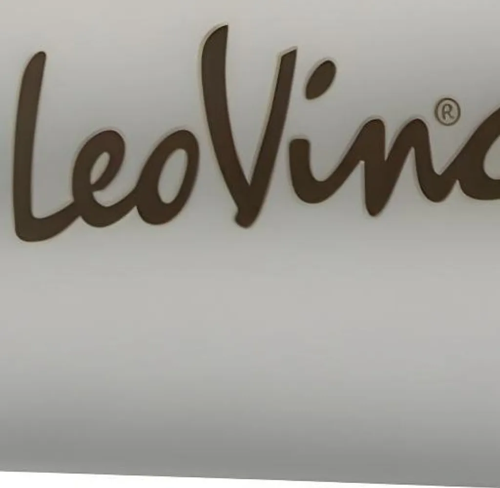 Pièce détachée échappement LeoVince : silencieux arrière inox 50x295mm