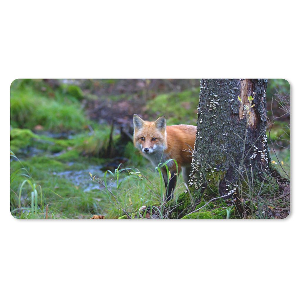 MuchoWow Mauspad Mousepad Fuchs - Baum - Waldtier - Herbst 60x30 cm - Mousepads - Maus Mat - Pad - Mausunterlage - Nachhaltig