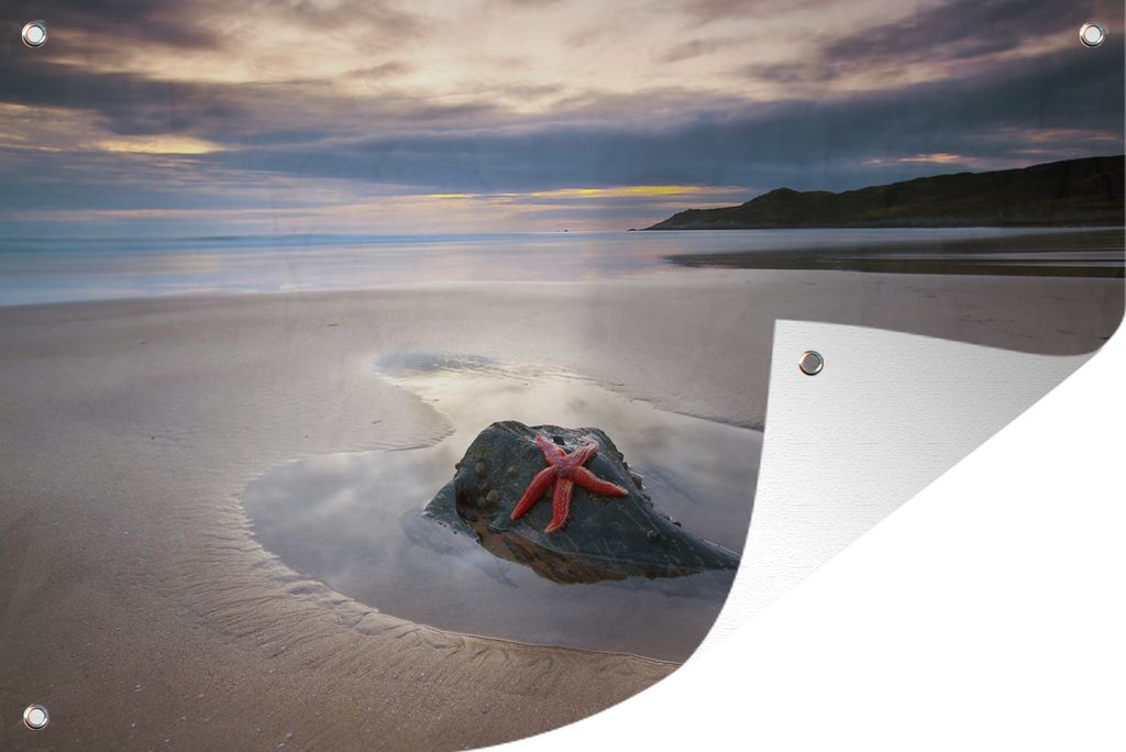 MuchoWow 60x40 cm Outdoor-Poster Gartendeko Sichtschutz Garten Poster für den Garten Seestern - Strand - Sonne
