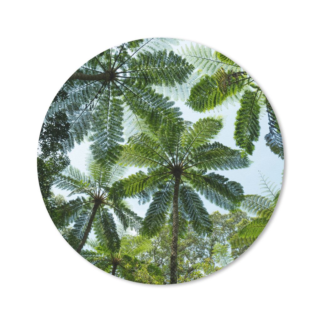 MuchoWow Mauspad Mousepad Bäume und Blätter im Dschungel 30x30 cm - Mousepads - Maus Mat - Pad - Mausunterlage - Tischunterlage - Schreibtischm...