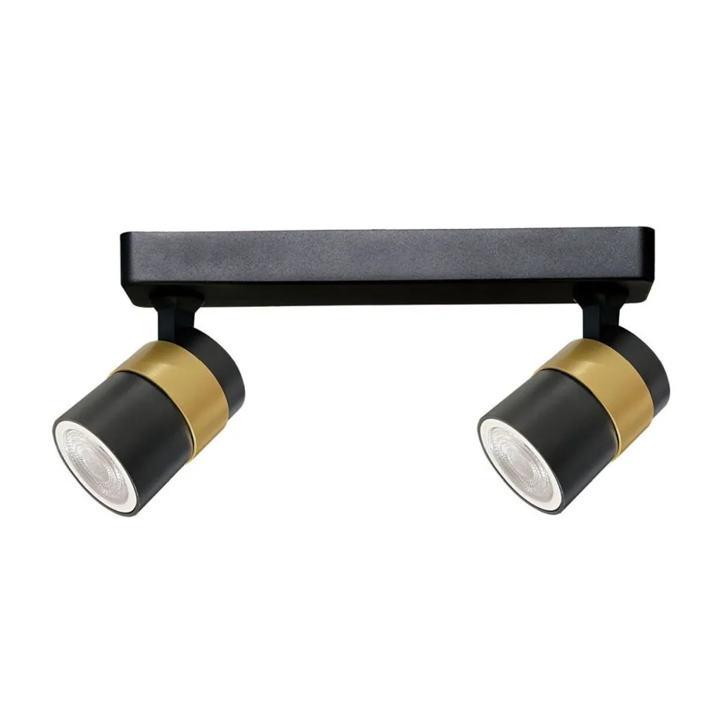 Plafonnier spot orientable 2 lumières noir mat Anillo pour salon