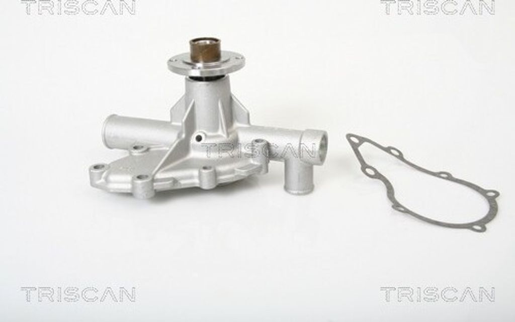 TRISCAN Wasserpumpe 8600 11025