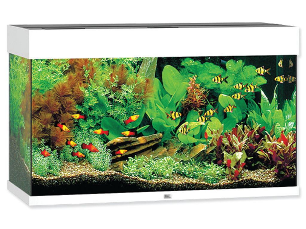 NEU: Rio 125 Juwel online Aquarium Farbe grau