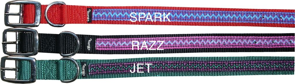 Hundehalsband Electra Pizazz aus starkem Nylongurt 2,5 cm breit Halsband für Hunde Halsband Hund in Spark & 21
