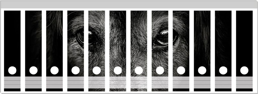 Wallario Ordnerrücken Sticker, selbstklebend für breite Ordner, 12 Stück, Motiv Eleganter Hund mit Zylinder in schwarz-weiß