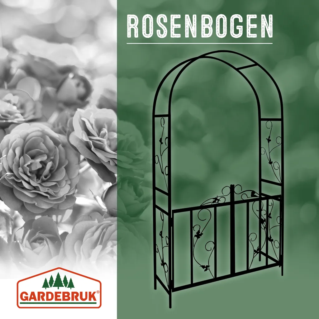 Aide à la croissance pour plantes grimpantes Arc de roses métal 1x