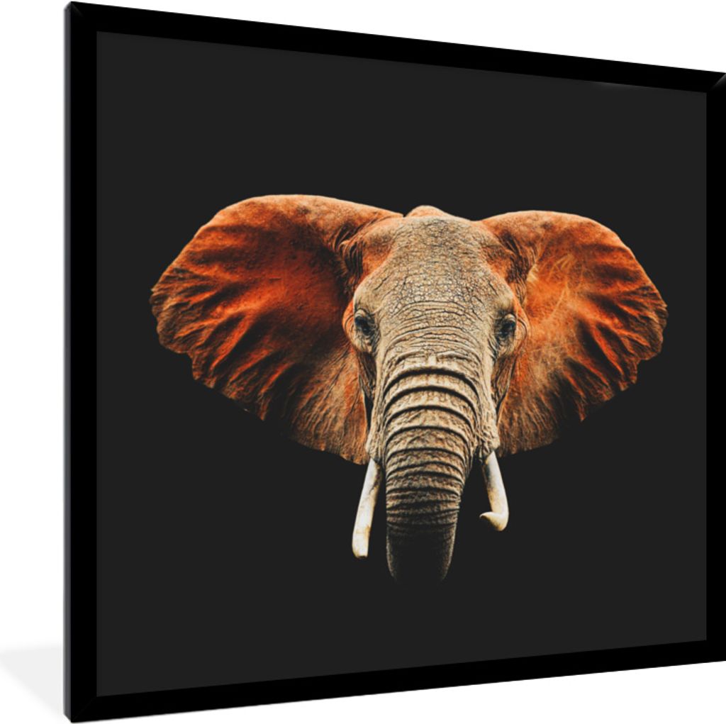 MuchoWow® MuchoWow® Gerahmtes Poster Elefant - Tiere - Produktbild 