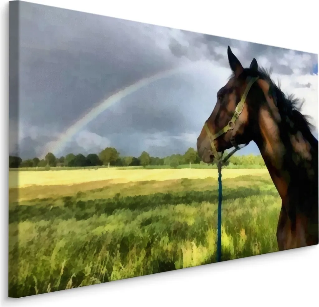 Tableau sur Toile XXL 120x80 cm Cheval Arc-en-ciel - Décoration Murale