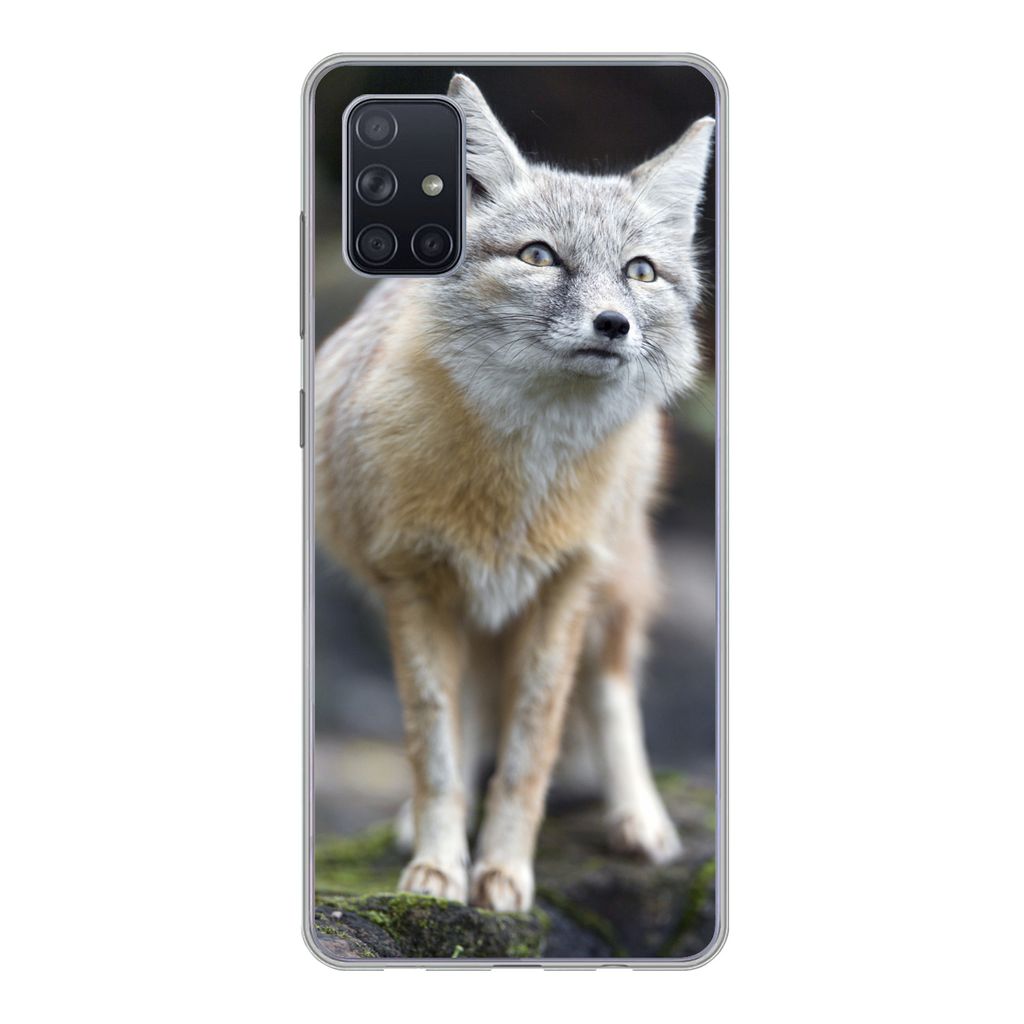 MuchoWow Handyhülle Schutzhülle Hülle für Samsung Galaxy A71 Fuchs - Makro - Baum Silikon Softcase Handy Hülle - Kartenbesitzer