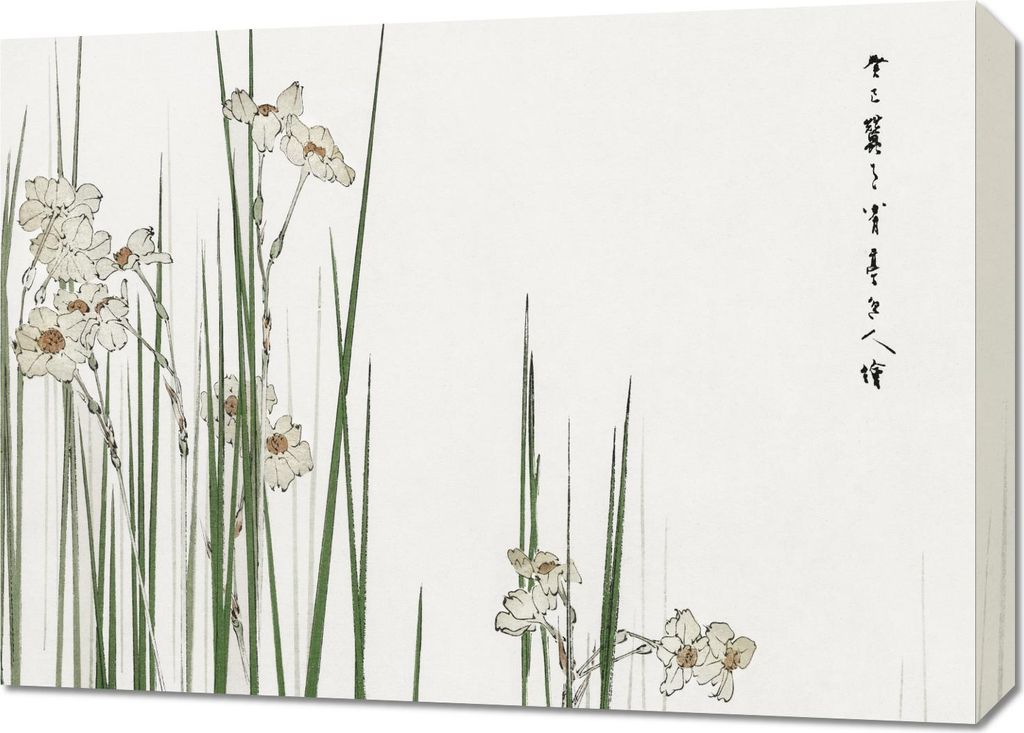 Bild 70x50cm Jonquil, Bijutsu Sekai Japanischer Vintage