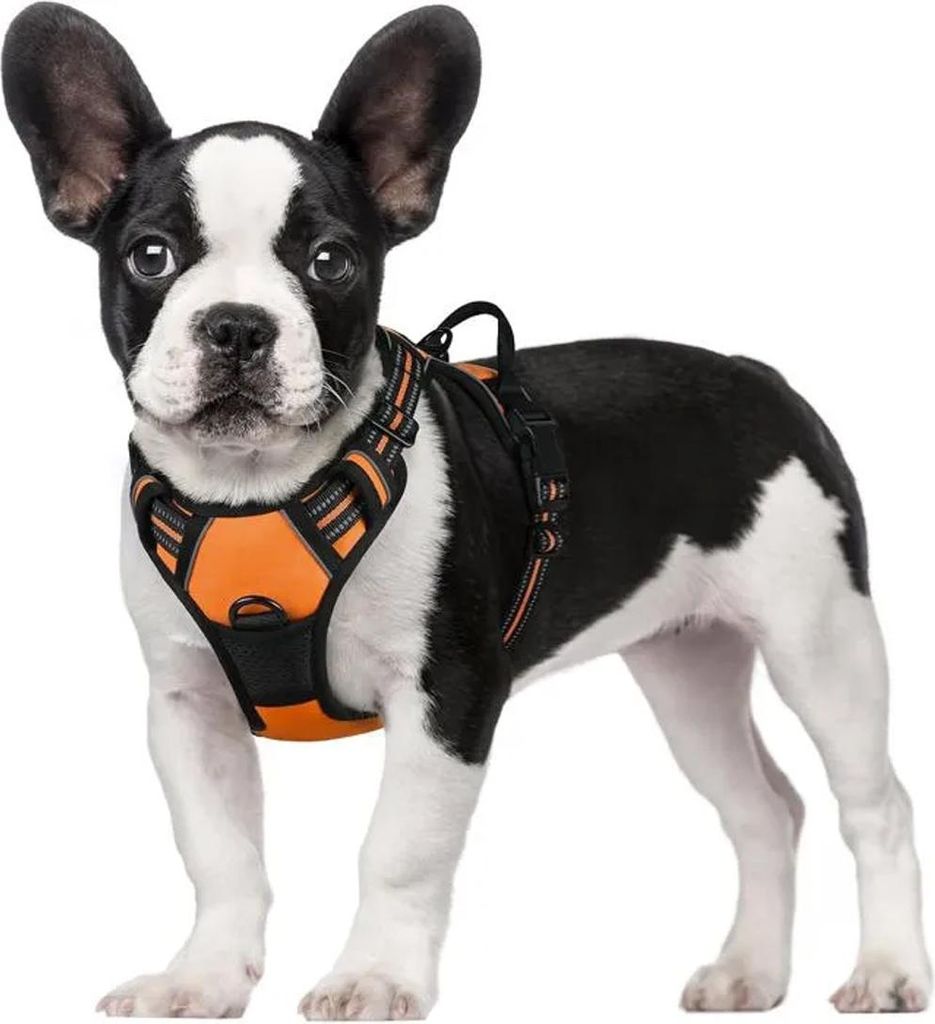 Hundegeschirr / Kleines Hundegeschirr – Orange, Größe S – Verstellbar, Zugstopp, Reflektierend, Atmungsaktives Material