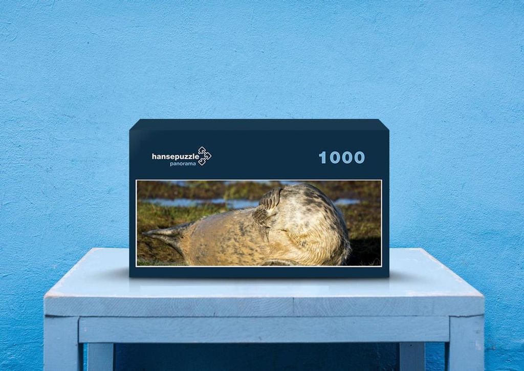 hansepuzzle 30427 - Flosse vor Augen Puzzle, 1050 Teile, Tierwelt, 60,0 x 46,0cm mit hochwertiger Aufbewahrung, Kartonbox & Beutel