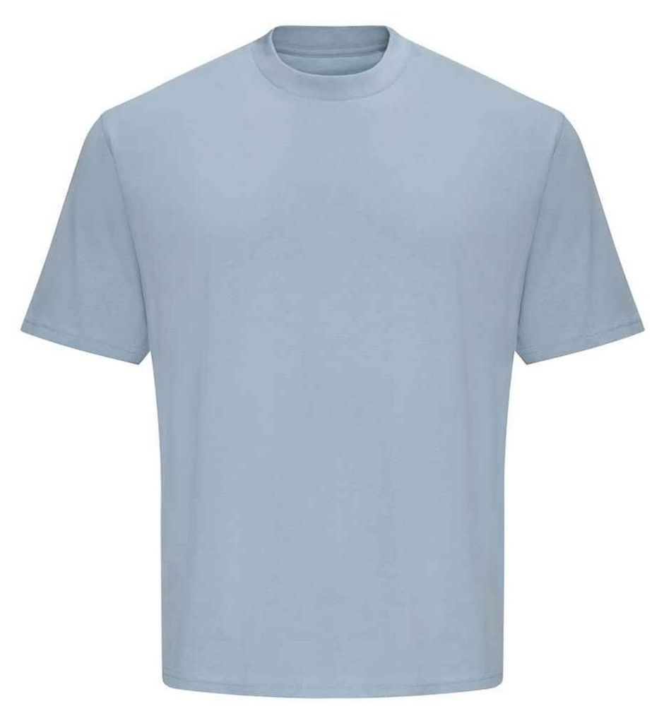 Awdis - "Just Ts The 100" T-Shirt für Herren LT5589 (XXL) (Himmelblau)