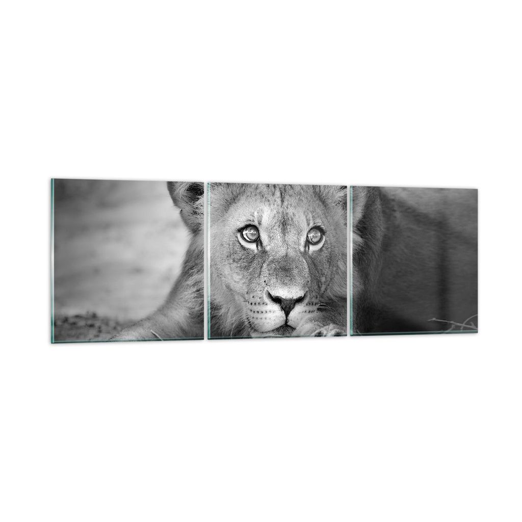 Bilder auf glas - 3 Teile - Löwe asiatisch Porträt - 90x30cm - Glasbilder - Wandbilder - Bilder - zum Aufhängen bereit - Wanddekoration aus Glas...
