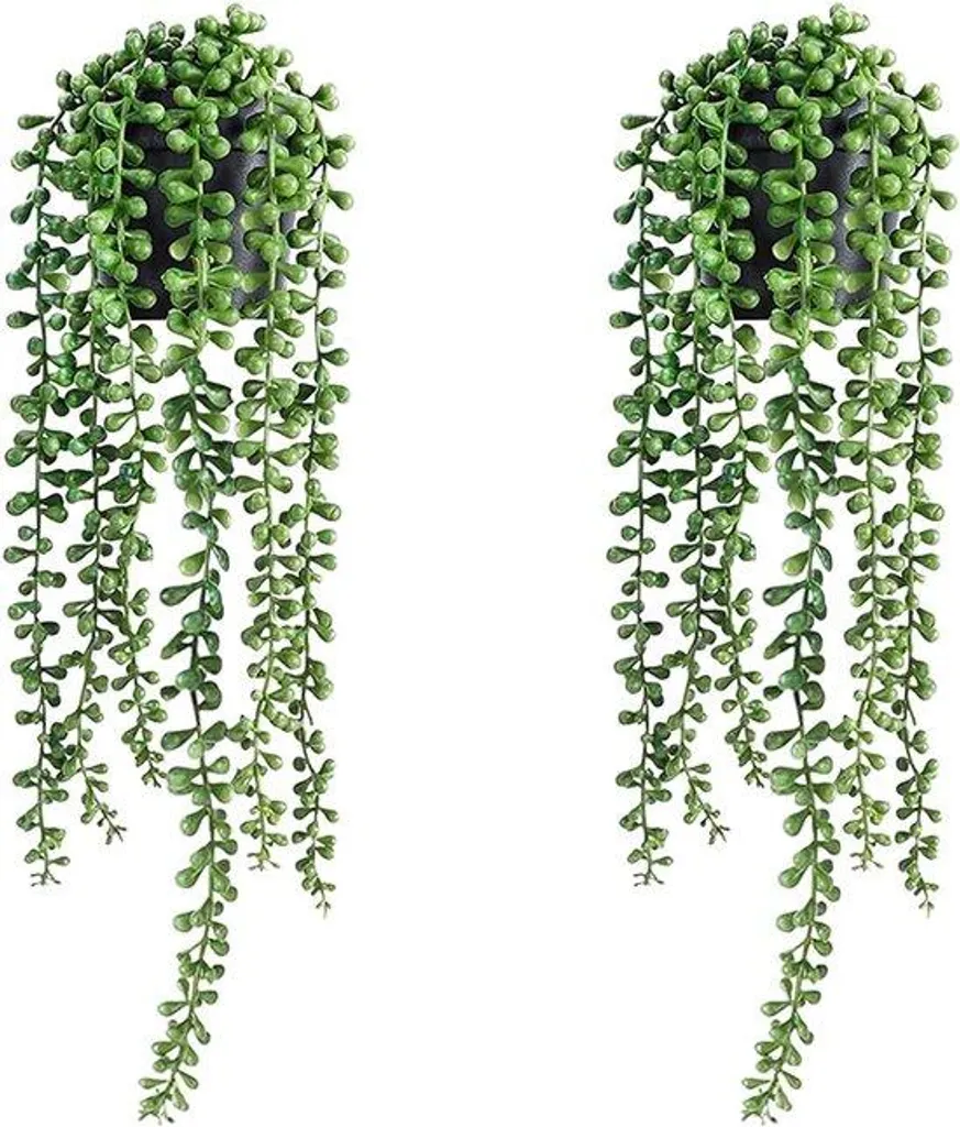 Lot de 2 plantes artificielles tombantes String of Pearls avec pots