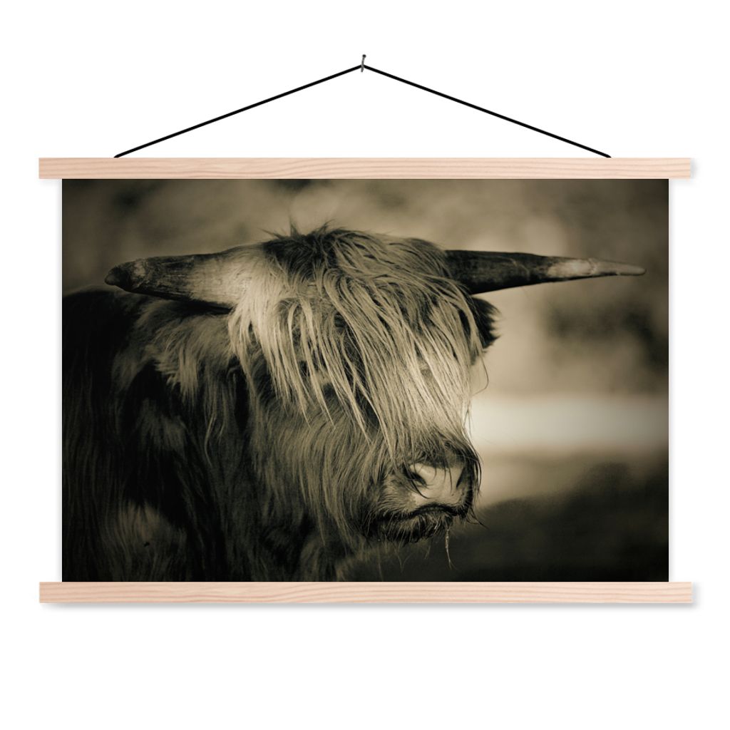 MuchoWow® Textilposter Schottischer Highlander - Tiere - Produktbild 