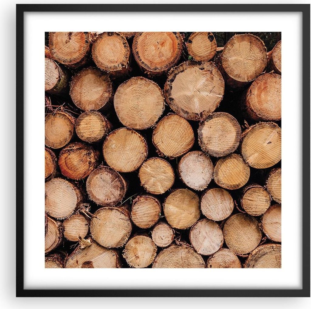 Gerahmtes Poster - Schwarzer Rahmen - Holz Baumstämme Produktbild 