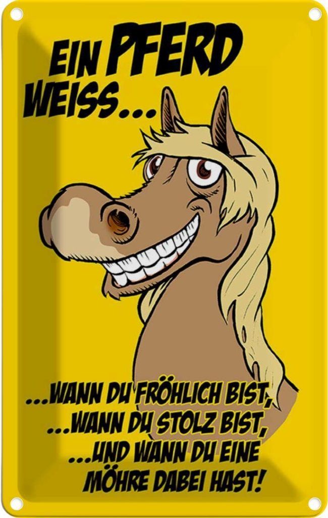 vianmo Blechschild 18x12 cm Ein Pferd weiss wann fröhlich Tier Haustier