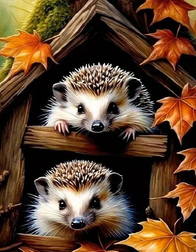 Diamond Painting Vollbild 30x40 mit runden Steinen