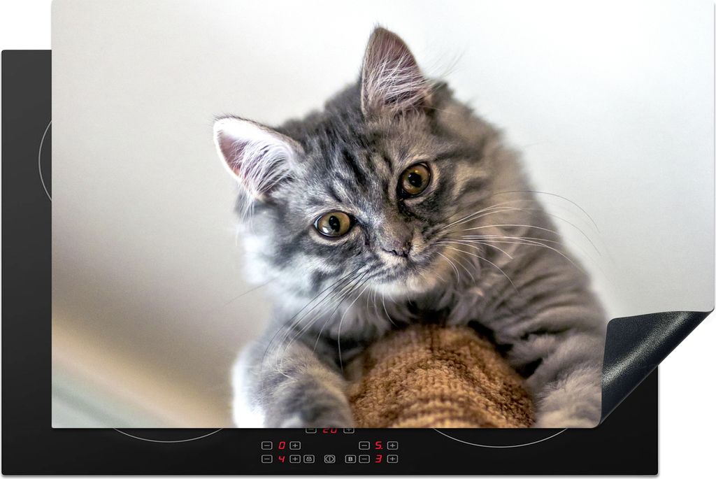 KitchenYeah Herdabdeckplatte Katze - Kratzbaum - Grau , 80x52cm, Küche Deko, Ceranfeld Herdabdeckung, Abdeckplatte fùr Kochfeld