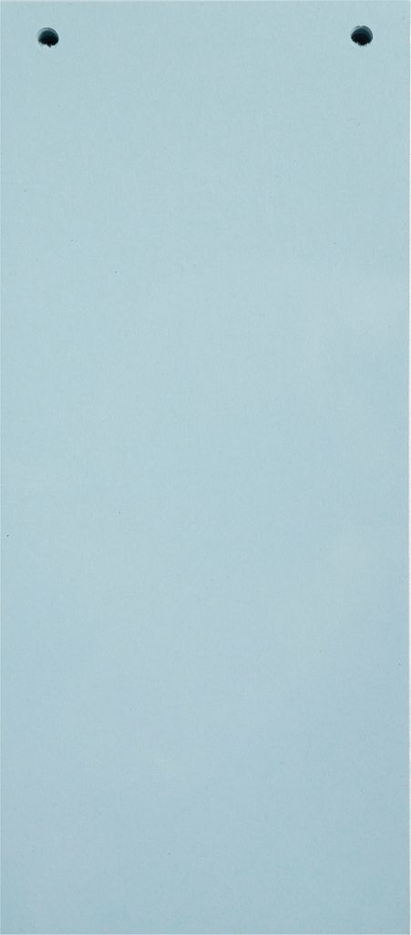 Exacompta 12x 100 Trennstreifen 2-fach gelocht RC Kart 105x240mm Hellblau 13415B