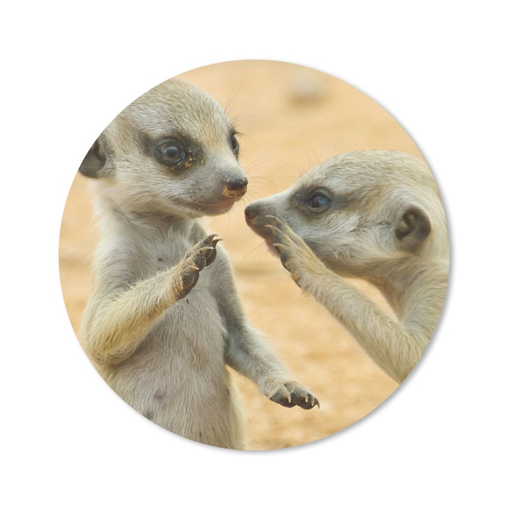 MuchoWow Mauspad Mousepad Erdmännchen - Braun - Tier 30x30 cm - Mousepads - Maus Mat - Pad - Mausunterlage - Tischunterlage - Schreibtischmatten
