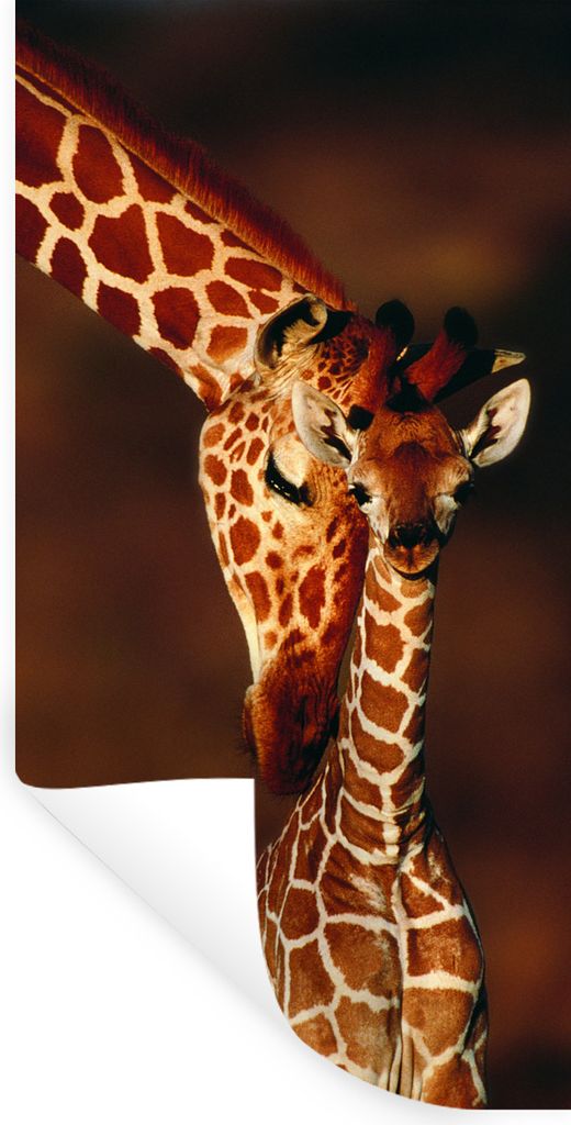 MuchoWow Wandtattoo Wandsticker Wandaufkleber Giraffe - Kalb - Porträt 20x40 cm Selbstklebend und Repositionierbar - Selbstklebend - Fototapeten