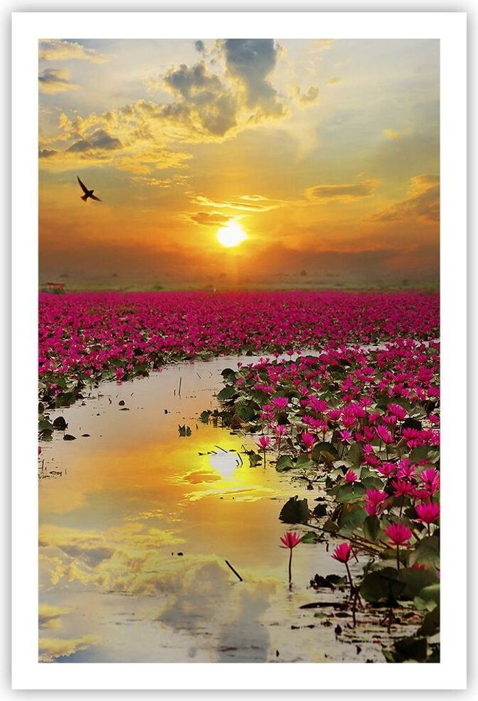 Poster - Poster ohne Rahmen - See Blumen - 61x91,5 cm - Wand Bild - Wanddeko - Wandbilder - Kunstposter - Wandposter - Bilder - Kunstdruck - Wandde...