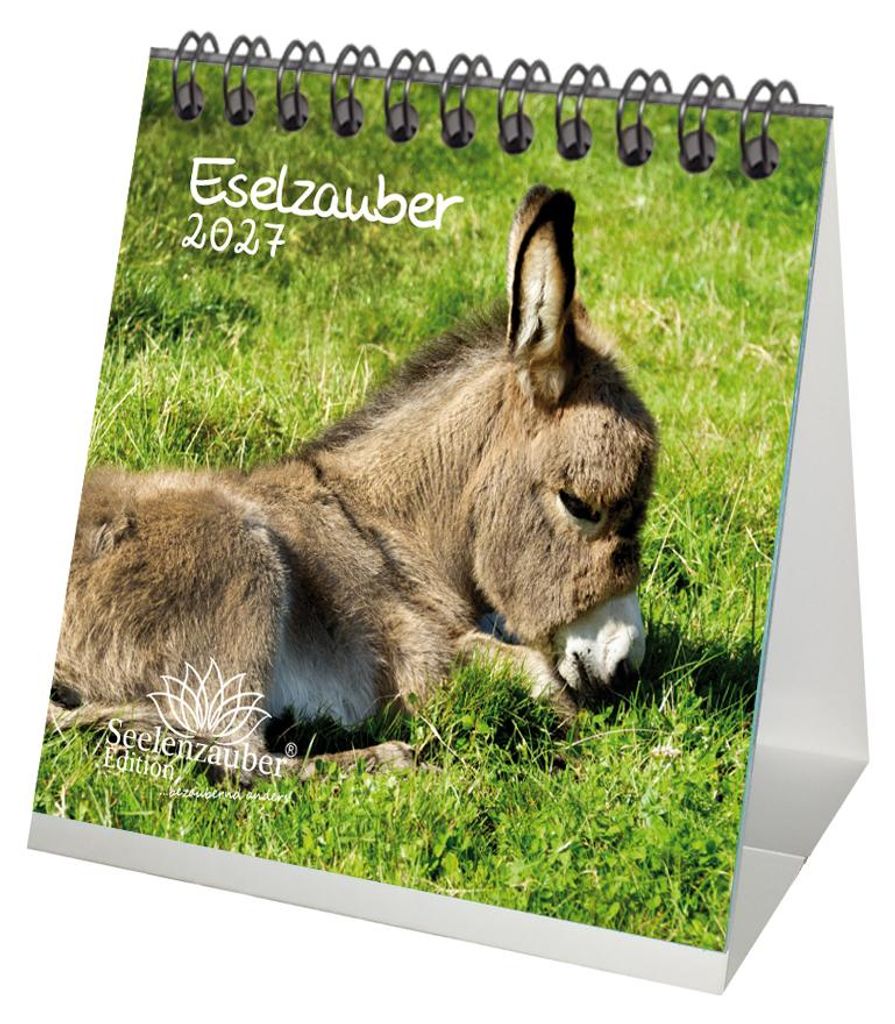 Eselzauber Tischkalender 10x10cm für 2027 Esel - Seelenzauber
