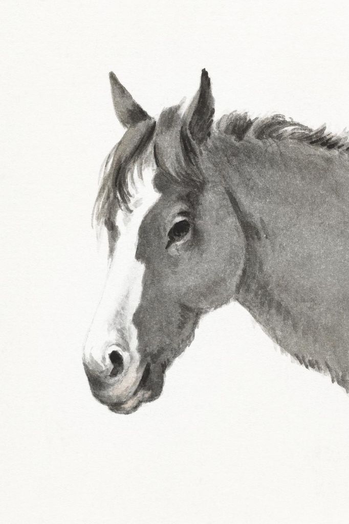 Plakat 40x60cm Pferdekopf, Jean Bernard Vintage für das Wohnzimmer