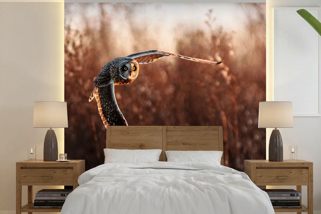 MuchoWow Fototapete für Wohnzimmer oder Schlafzimmer Wandtapete Vinyl Motivtapete Vogel - Eule - Sonnenuntergang - Natur - 240x240 cm - Schlafzi...