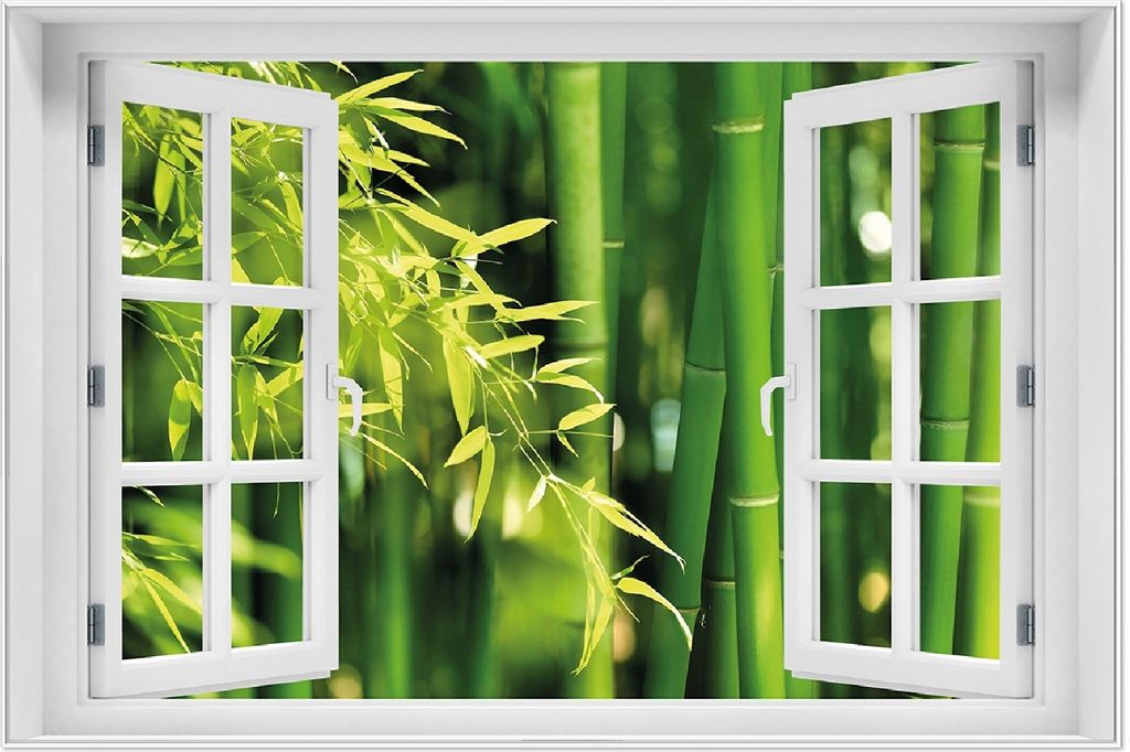 Wallario Wandbild mit Fenster-Illusion: Bambuswald mit grünen Bambuspflanzen, Größe: 61 x 91,5 cm, Poster mit weißem Aluminiumrahmen