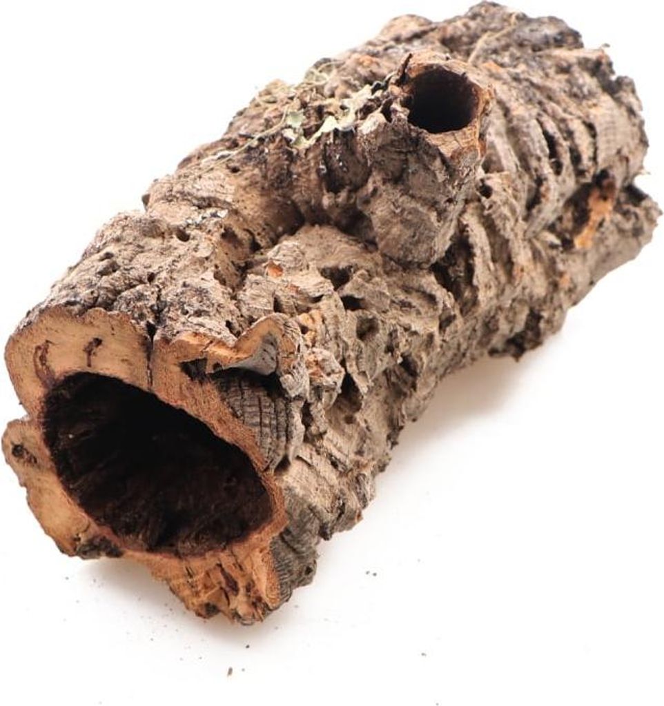Kora z Dębu Korkowego - na wagę Terrario Zdjęcie produktu 