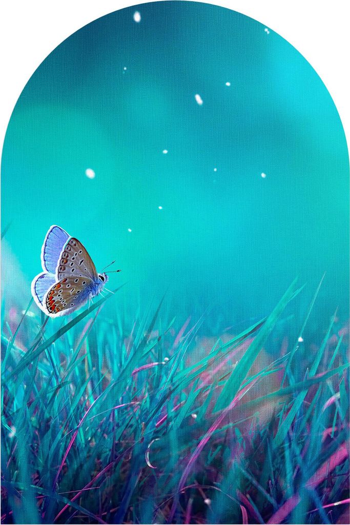 DEQORI Fototapete Rundbogen 100x150 cm 'Märchenhafte Wiese' Wand Tapete Leinwand Sticker