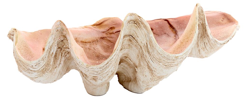 Light&living Ornament 41 x 25 x 17 cm SHELL taupe+koralle