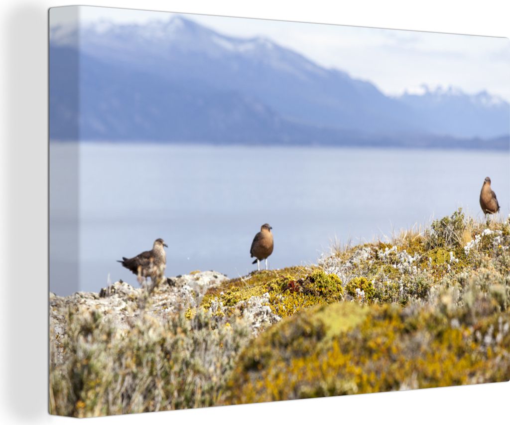 OneMillionCanvasses - Leinwandbilder - 140x90 cm, Vögel im Nationalpark Tierra del Fuego mit schneebedeckten Bergen im Hintergrund, Wandbilder K...