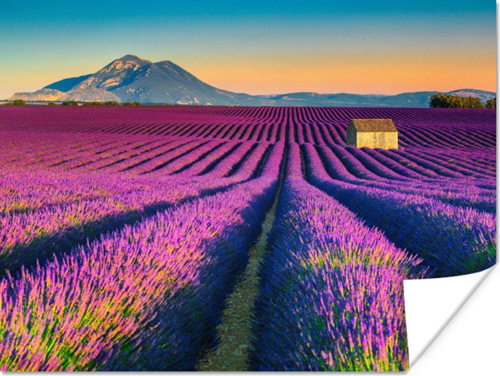 MuchoWow Poster Lavendel - Berg - Blumen 40x30 cm - Plakate für die Wände - Poster Wohnzimmer