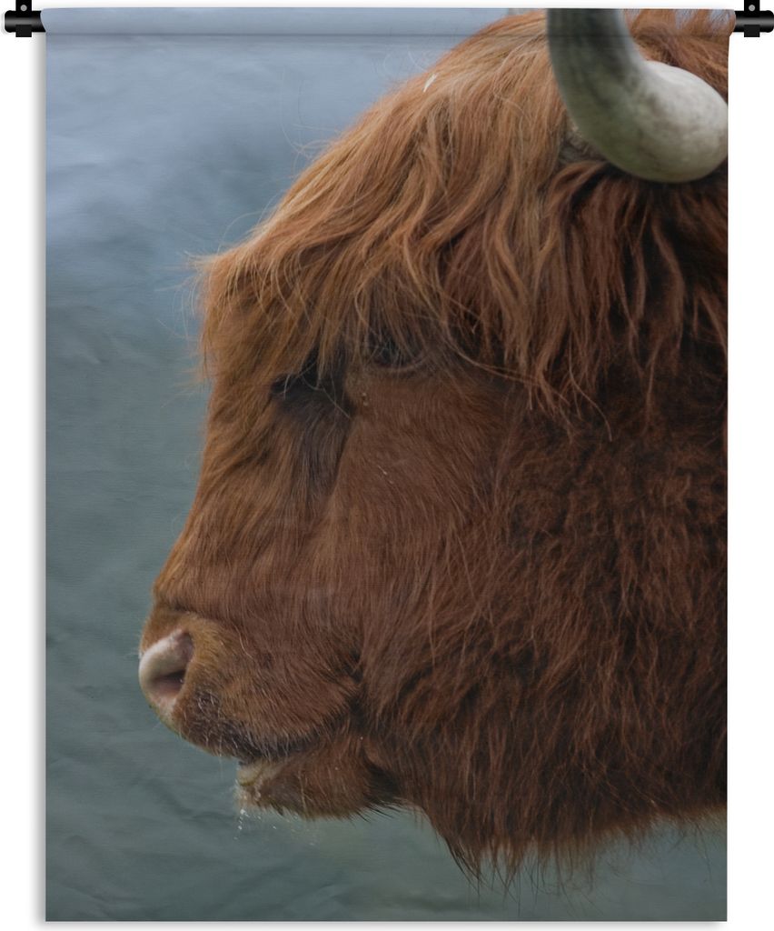 MuchoWow Wandteppich Wandbehang Schottische Highlander - Tiere - Nebel 60x80 cm Tapisserie Dekoration Wandtuch - Decke - Wandtücher - Wohne